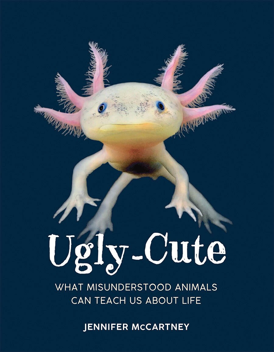 “Ugly-Cute,” by Jennifer McCartney